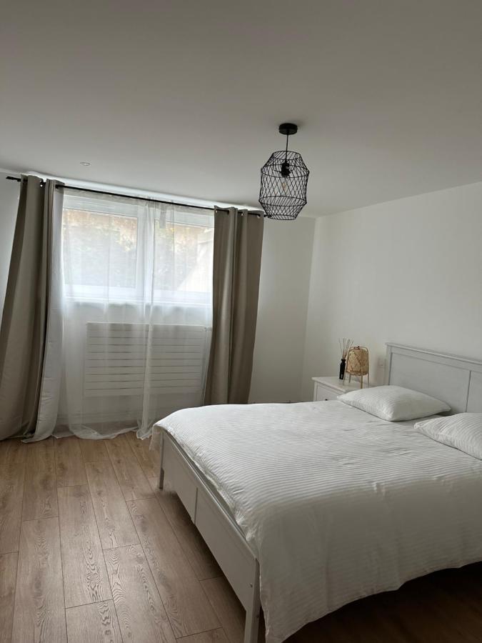 Joli Appartement Dans Une Maison Remise A Neuf Mittelhausbergen Eksteriør bilde